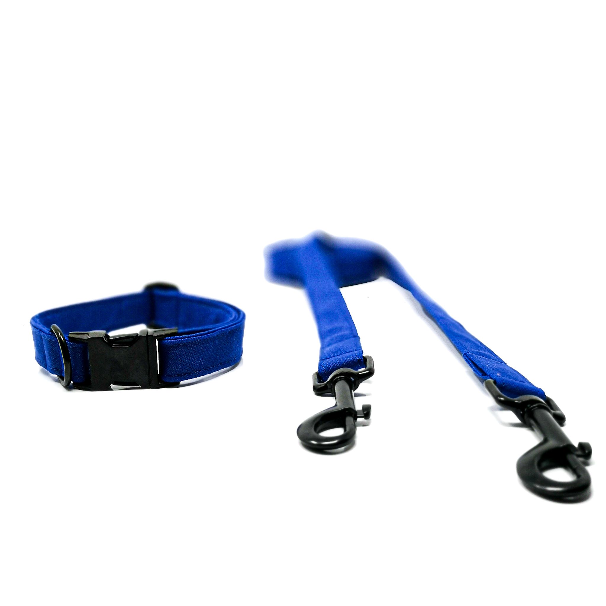 Blue collar and blue leash | Pet Hardware®