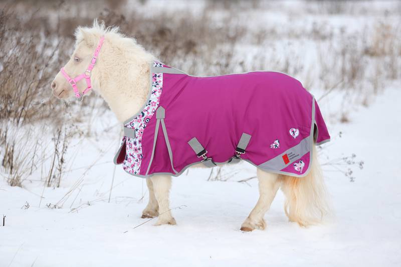Licol pour chevaux avec tricot | Longe cheval avec licol | Licol Shetty,  Poney, pur-sang, Full, X-Full avec tricot (rose, cob)